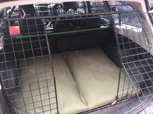 Bespoke Dog Beds in the rear of Subaru Forester