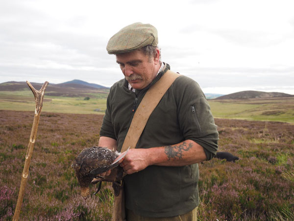 Host examining the retrieved bird.