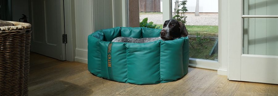 GWP Pontus in his Tuffies Nest Dog Bed
