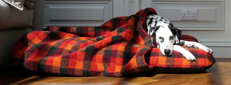 Tunnel Mattress Dog Bed Cover
