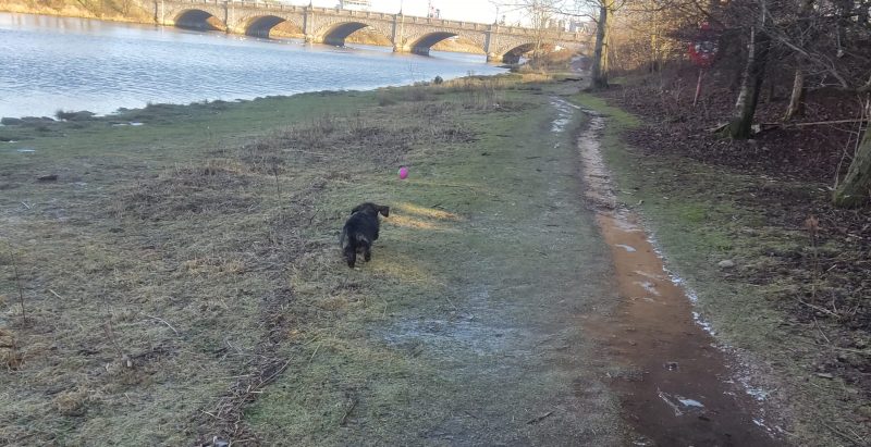 Gerry Chasing the Ball