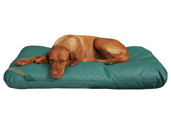Summer outlet dog bed