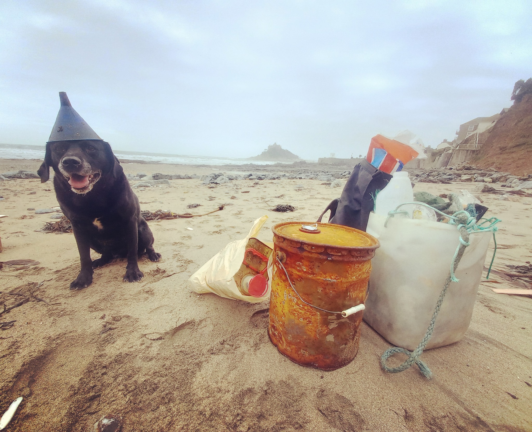 Black Lab Monty on his Litter Picking Walk on Cornwall Beach (Constance Morris)