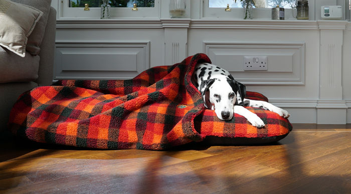 Cosy Tunnel Cover.