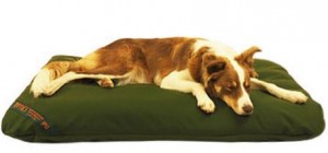 Dog laid on green Durasoft Tuffies mattress dog bed