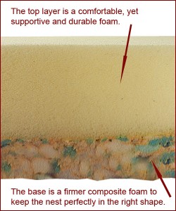 Foam explanation for FB July 16 copy