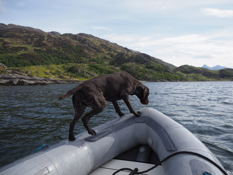 Gaia balancing on the side of the rubber dinghy.