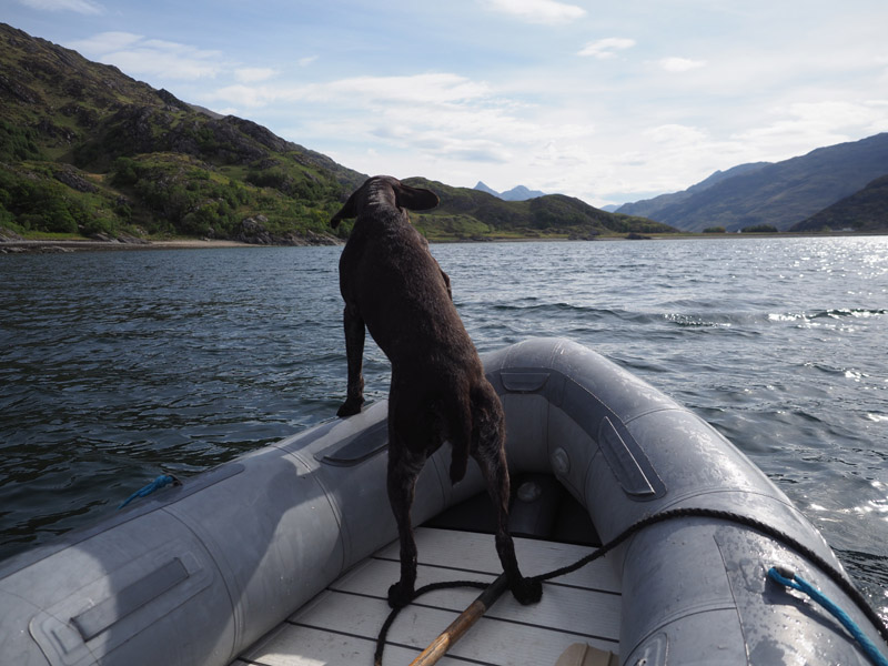 Gaia loving the dinghy ride.