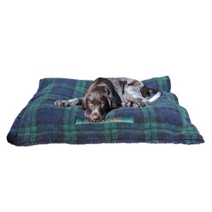 German Wirehaired puppy in puppy dog bed copy