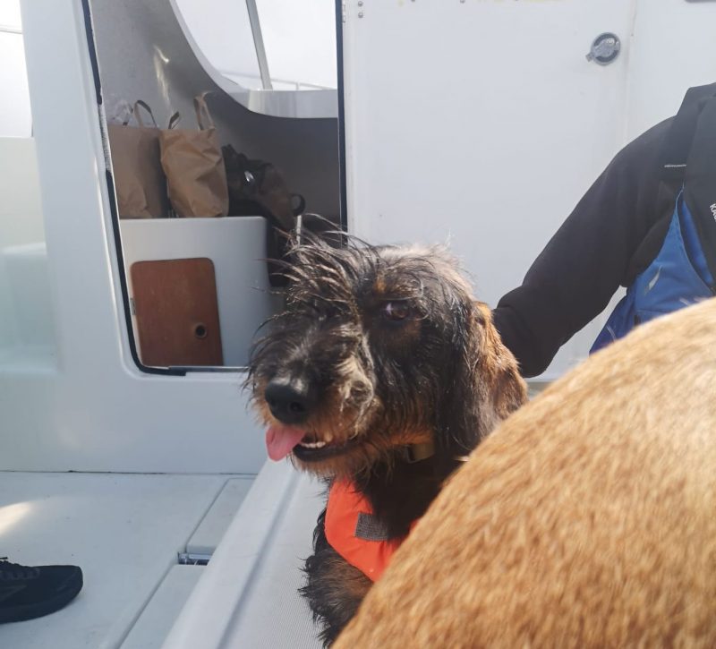 Sailor Gerry Enjoying his First Boat Ride