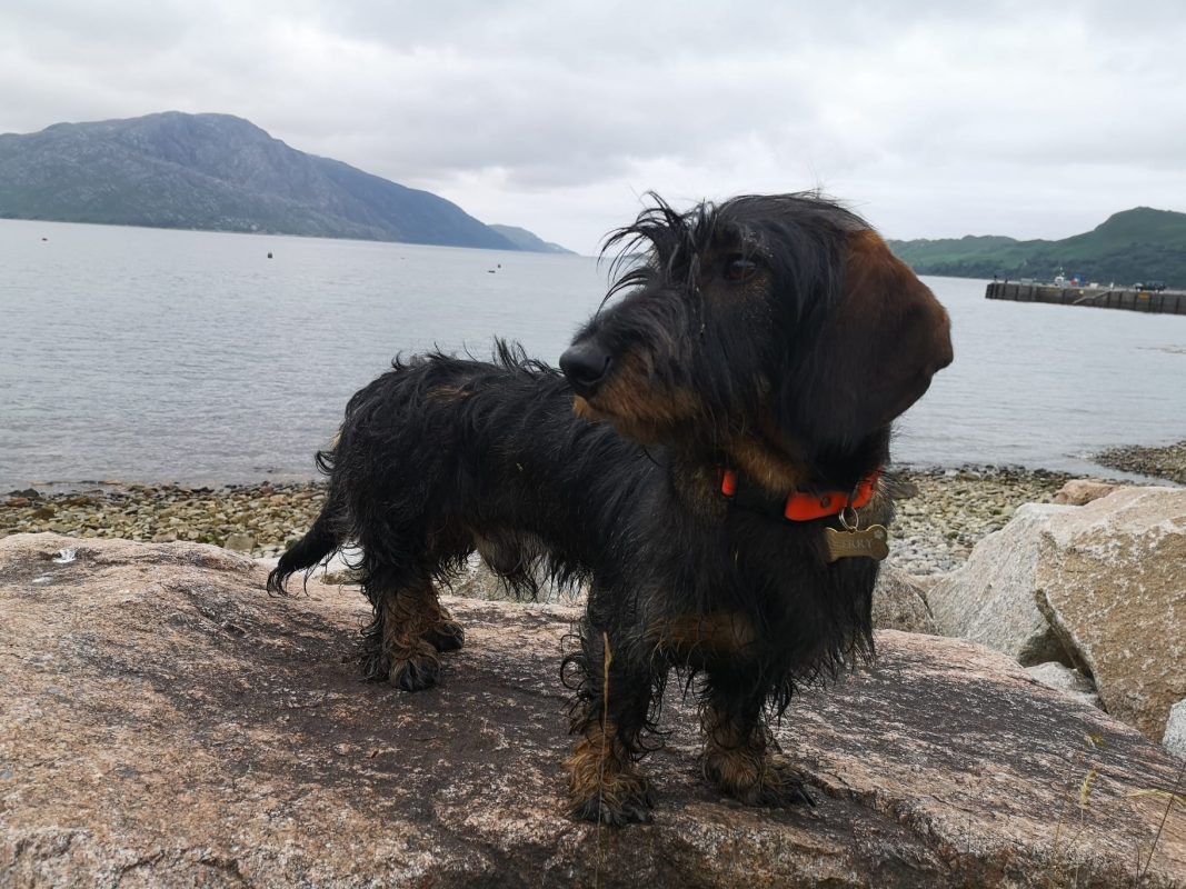 Gerry enjoying his staycation on the West Coast of Scotland