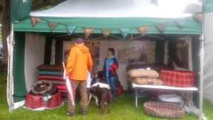 Picture from the front of the stand with all the dog beds