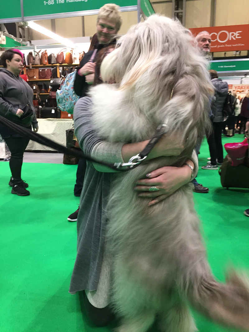 Dog hugging its owner and an admiring onlooker.