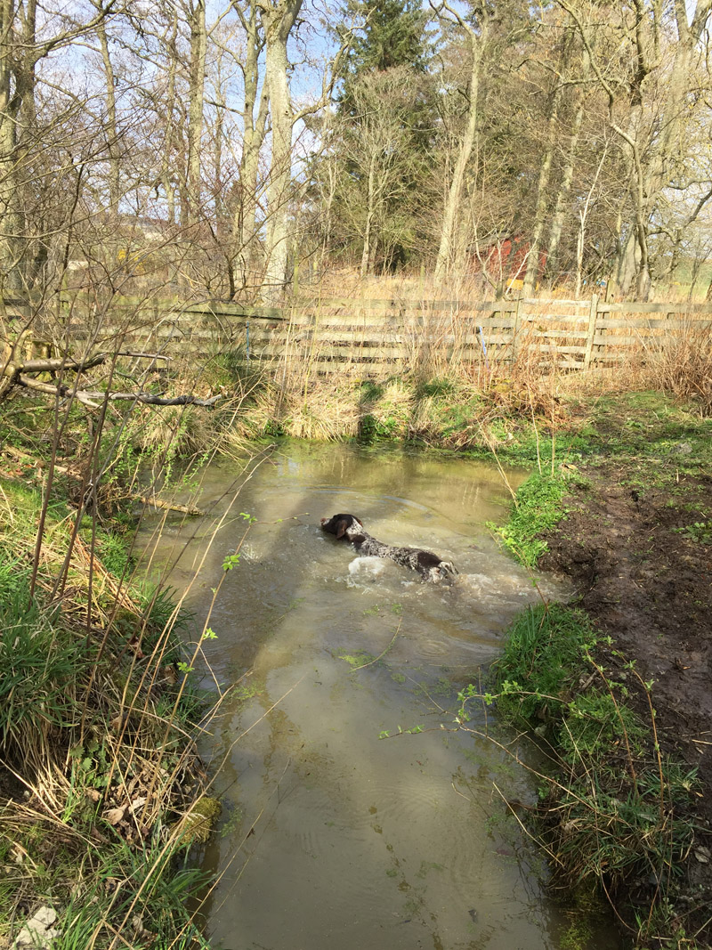 Having your own pond is one of life's little luxuries.