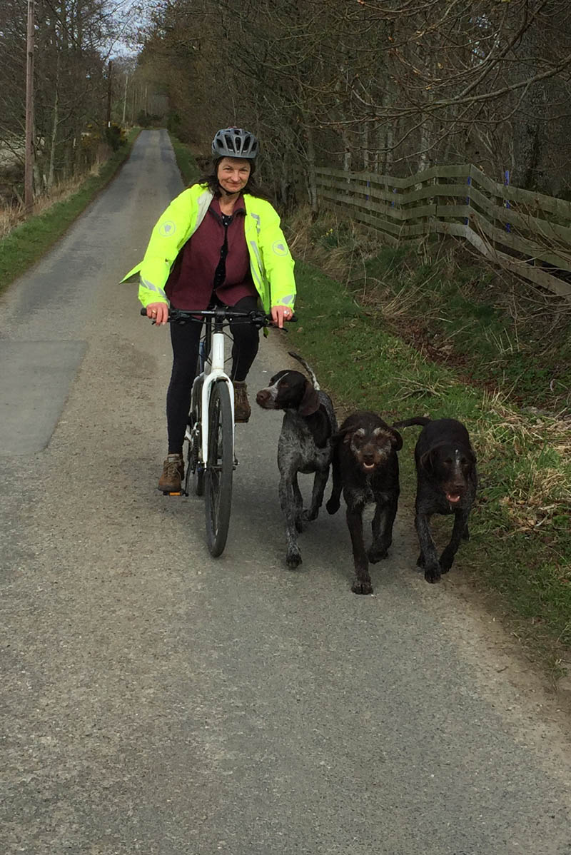 Exercising dogs by letting them run with the push bike.