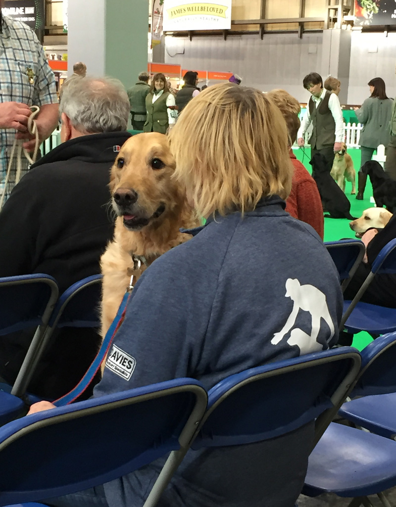 "I would rather be at home, Mum".