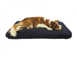 Durasoft Mattress Dog Bed with Skye the Collie