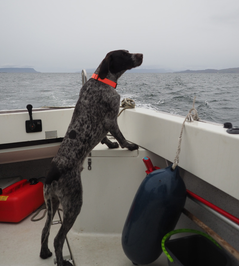 Sniffing the sea air is lovely.