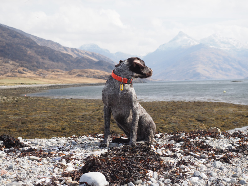 Enjoying the view of snow clad mountains and the loch.