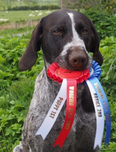 Pontus holding his rosettes from his wins.