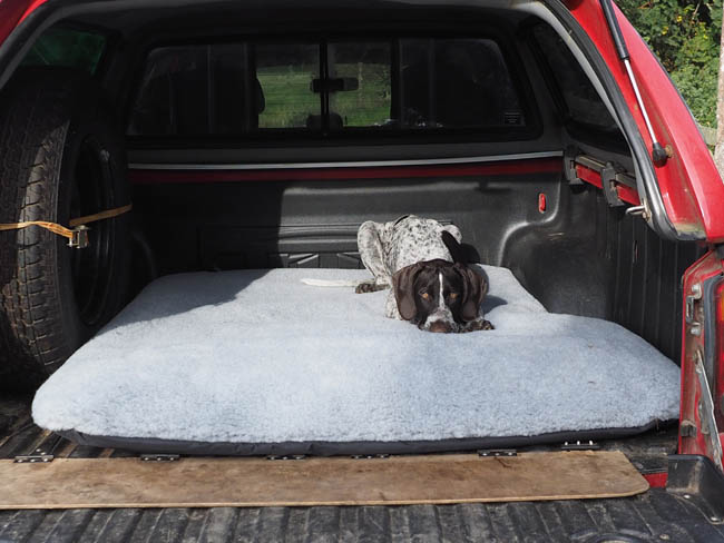 Dog bed for pickup truck bed shop