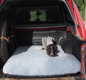 Bespoke dog bed for rear of pick up truck