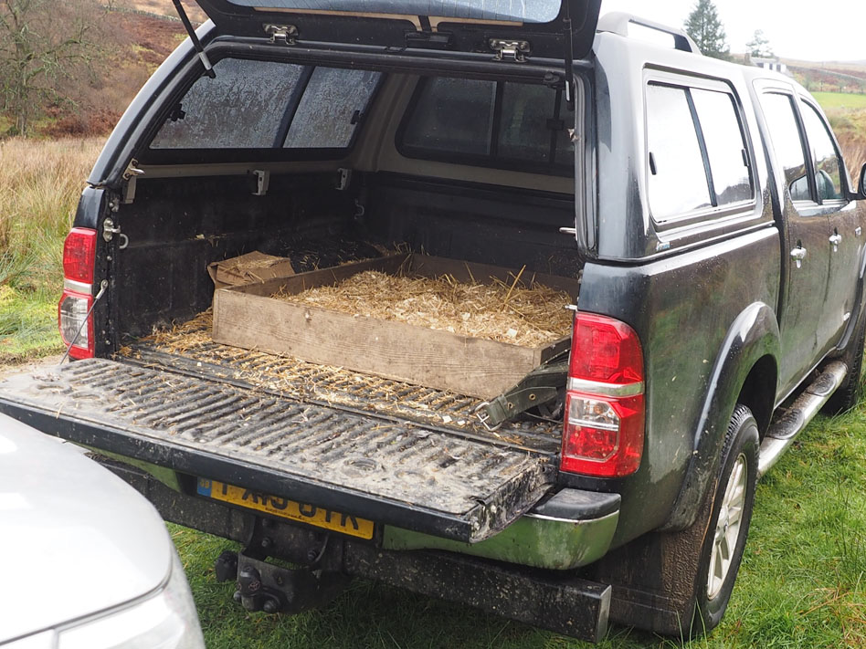 Dog bed in the back of a car, straw style!