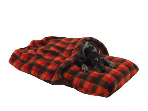 Tippex the German Wirehaired Pointer in a Tuffies Optional Tunnel Cover for a Mattress Dog Bed