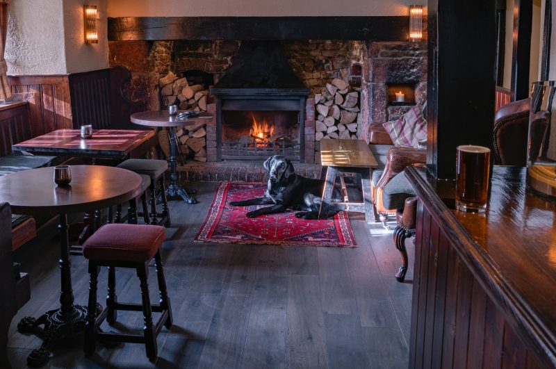 Black Labrador Waiting Beside Fireplace