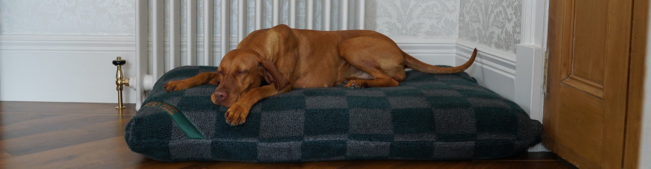 Dog Mattress beds and covers. LAST OREDR DATE IN TIME FOR CHRISTMAS IS 12TH DECEMBER on Tuffies