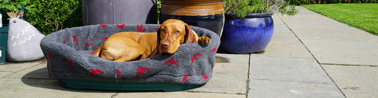 Plastic Dog Bed Liner. LAST OREDR DATE IN TIME FOR CHRISTMAS IS 12TH DECEMBER on Tuffies