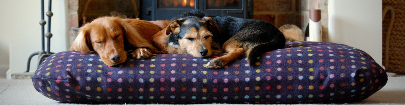 1-tuffies-dog-beds-vouchers-tuffies