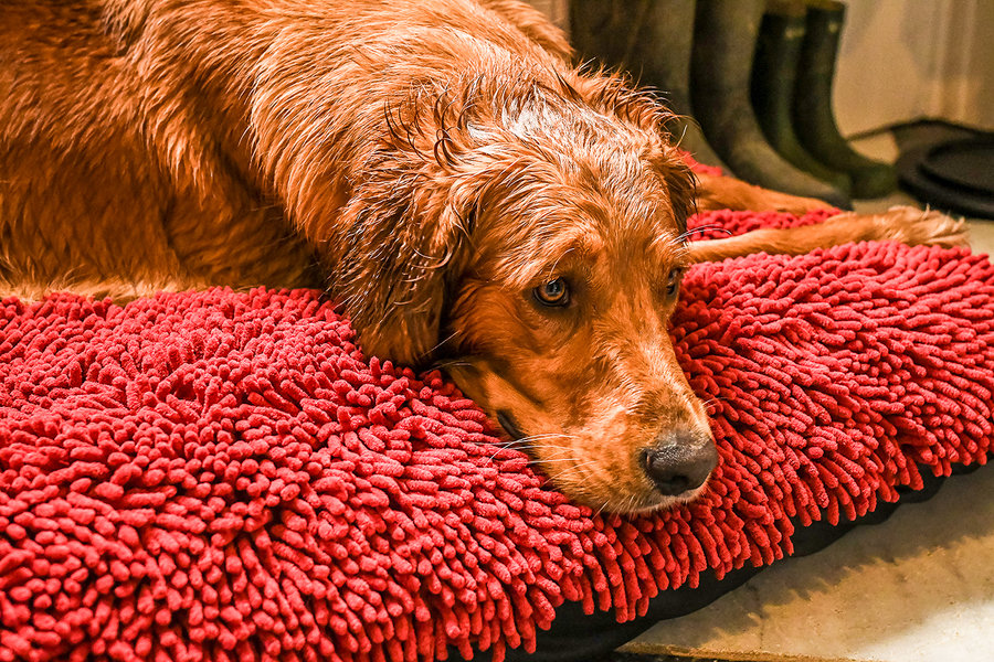 Red Dog Dryer Optional Washable Quick Drying Dog Bed Cover For wet Muddy Dogs Lifestyle Golden Retrievers
