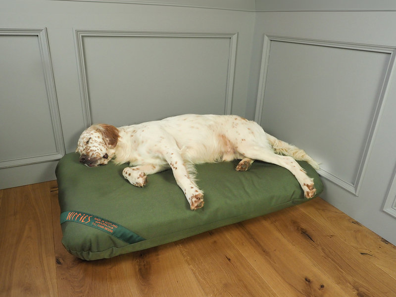 Olive Durasoft Waterproof Orthopaedic Futon Mattress Dog Bed Lifestyle English Setter