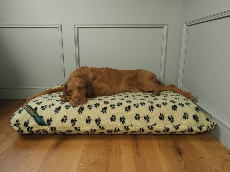 Paw Print Luxury Fleece Optional Washable Dog Bed Cover Lifestyle Wire Haired Viszla