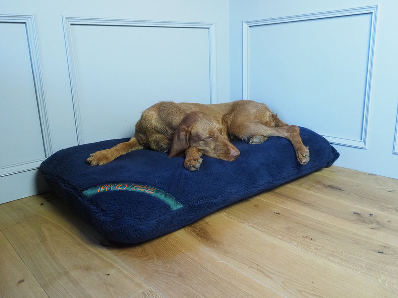 Midnight Navy Luxury Fleece Optional Washable Dog Bed Cover Lifestyle Wire Haired Vizsla