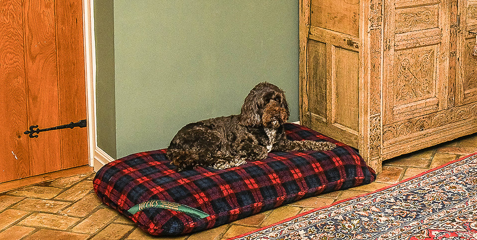 Red Tartan Luxury Fleece Optional Washable Dog Bed Cover Lifestyle Cockapoo