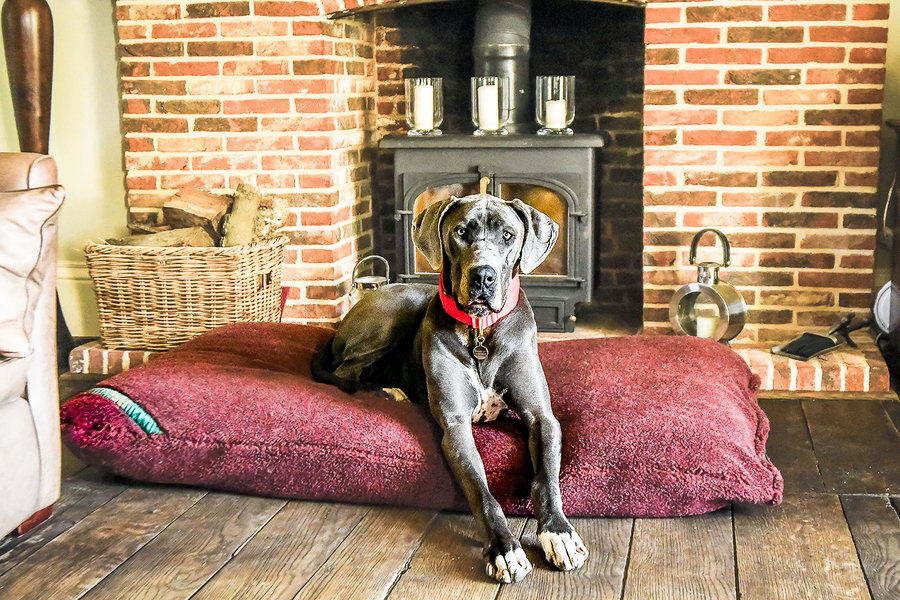 Burgundy Luxury Fleece Optional Washable Dog Bed Cover Lifestyle Great Dane