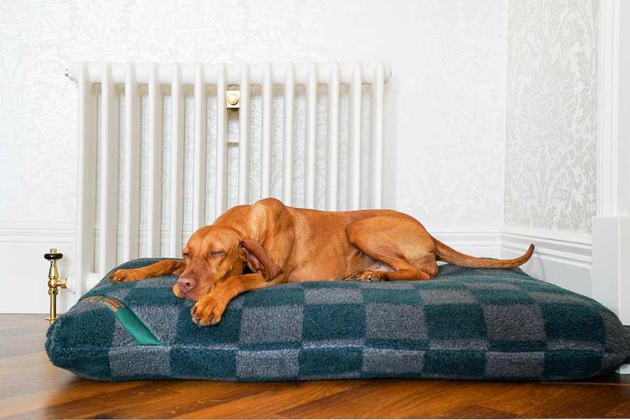 Wild Storm Luxury Fleece Optional Washable Dog Bed Cover Lifestyle Vizsla