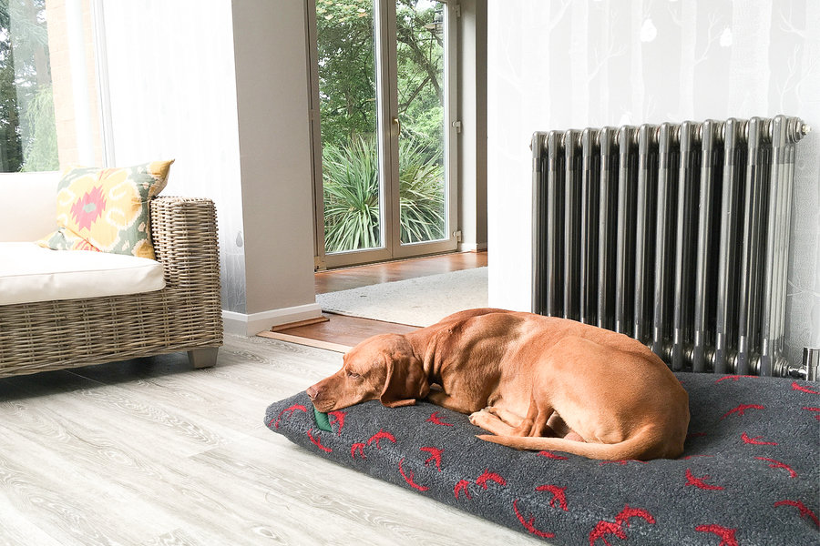Red Swift luxury Fleece Optional Washable Dog Bed Cover Lifestyle Vizsla