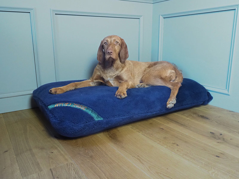 Midnight Navy Luxury Fleece Optional Washable Dog Bed Cover Lifestyle Wire Haired Vizsla