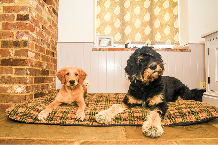 Tweed Luxury Fleece Optional Washable Dog Bed Cover Lifestyle Bernadoodle and Retriever