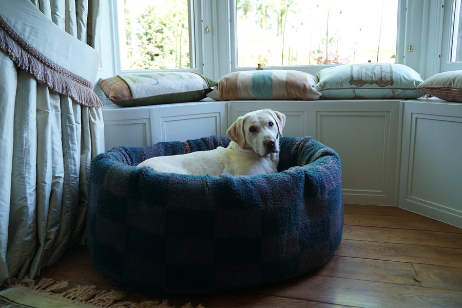 The Nest Dog Bed Cover Thumbnail
