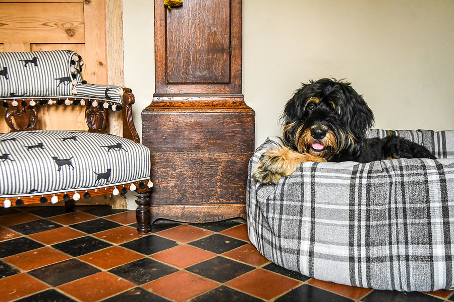 Granite Optional Washable Two Part Highland Tartan Nest Dog Bed Cover Lifestyle Bernadoodle