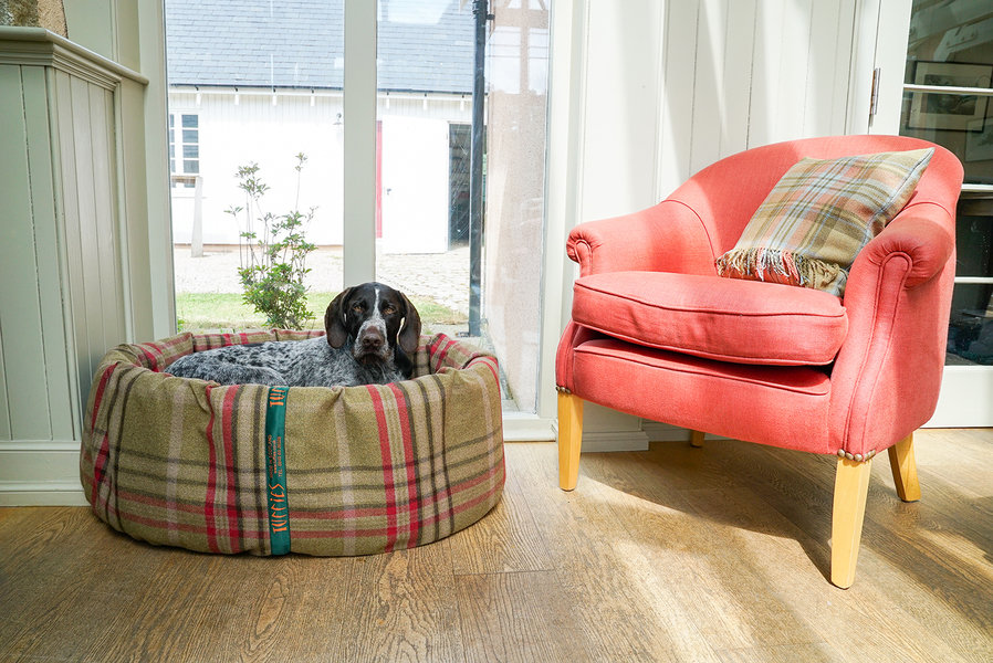 Harvest Optional Washable Two Part Highland Tartan Nest Dog Bed Cover Lifestyle German Pointer
