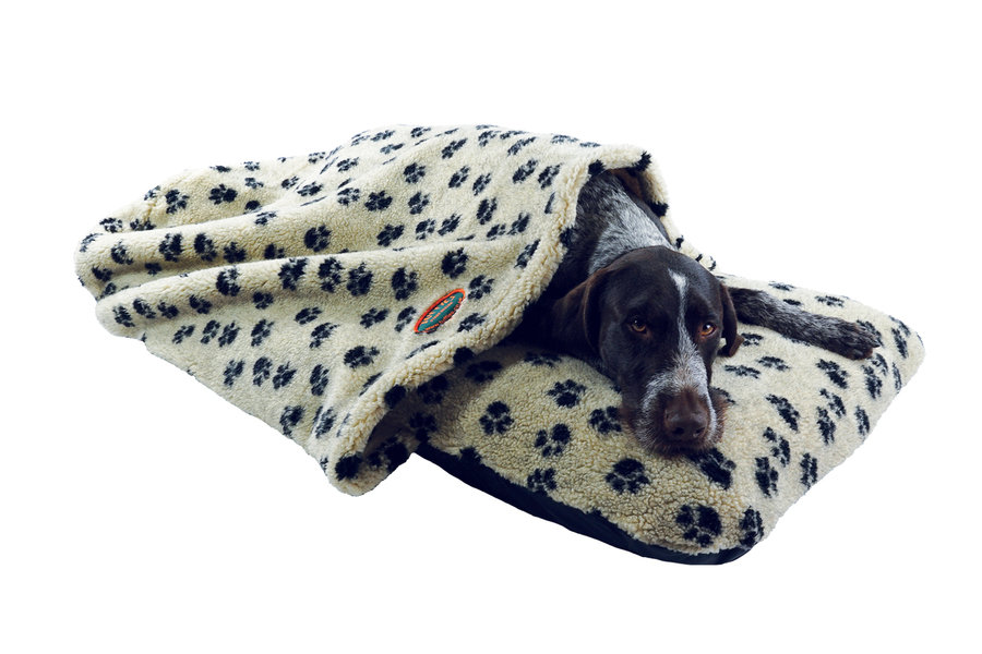 Paw Print Luxury Fleece Washable Tunnel cave Anti Anxiety Dog Bed Cover Lifestyle German Pointer