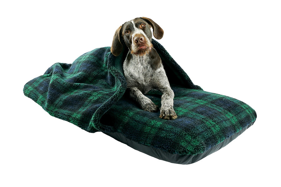 Black Watch Luxury Fleece Washable Tunnel Cave Anti Anxiety Dog Bed Cover Lifestyle German Pointer