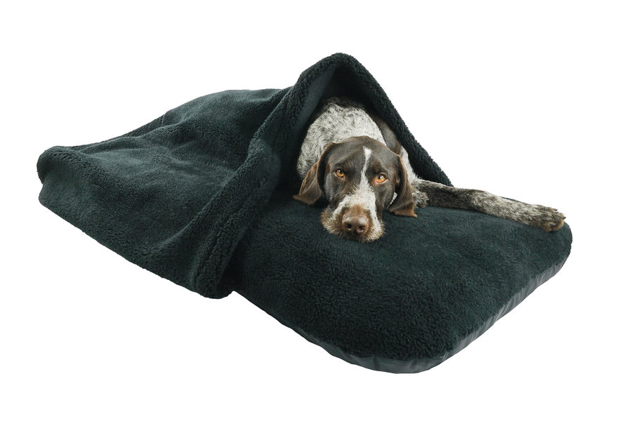 Black Luxury Fleece washable Tunnel Cove Anti Anxiety Dog Bed Cover Lifestyle German Pointer