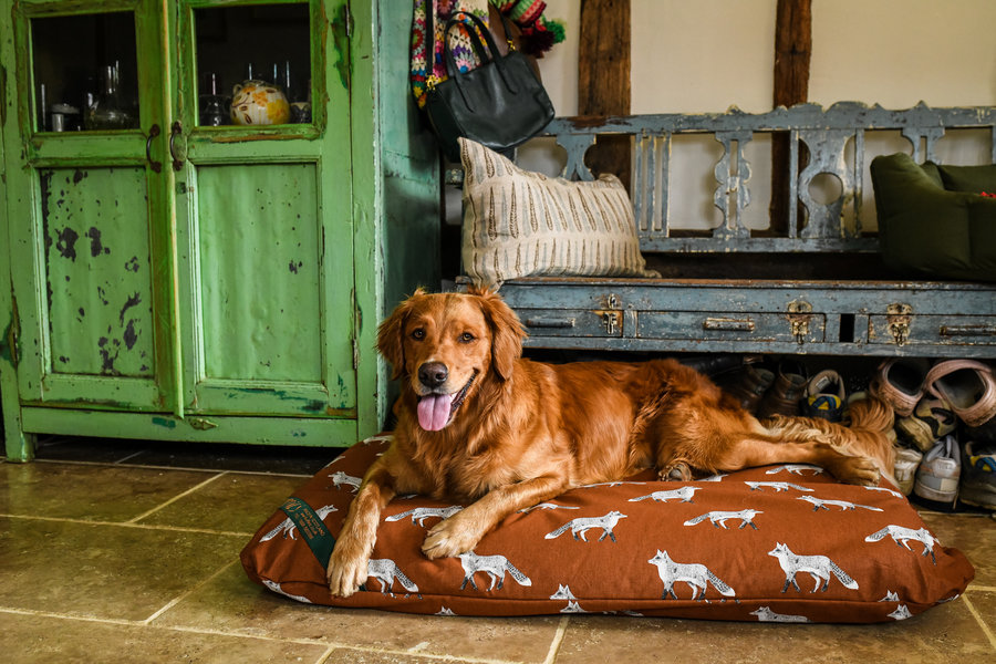 Rustic Fox Cotton Twill Optional Washable Dog Bed Cover Lifestyle Golden retriever