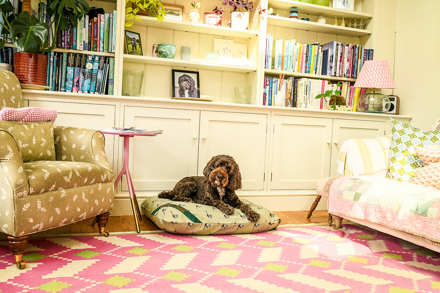 Pheasant Print Cotton Twill Optional Washable Dog Bed Cover Lifestyle Cockapoo